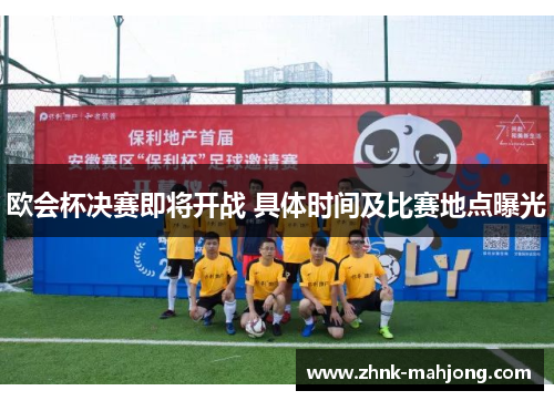 欧会杯决赛即将开战 具体时间及比赛地点曝光