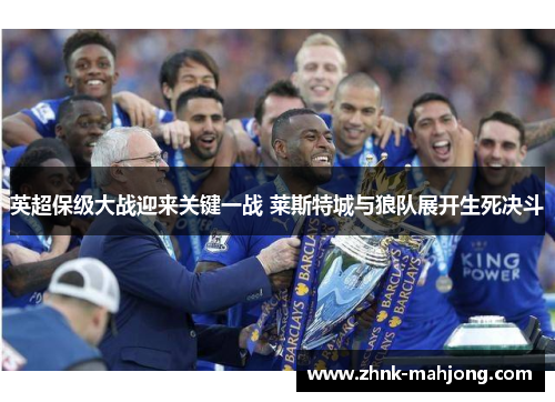 英超保级大战迎来关键一战 莱斯特城与狼队展开生死决斗 英超保级大战迎来关键一战 莱斯特城与狼队展开生死决斗