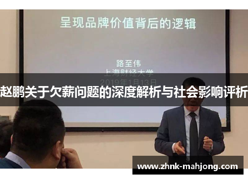 赵鹏关于欠薪问题的深度解析与社会影响评析