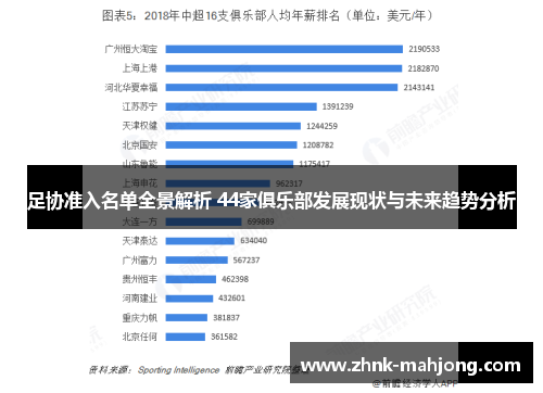 足协准入名单全景解析 44家俱乐部发展现状与未来趋势分析