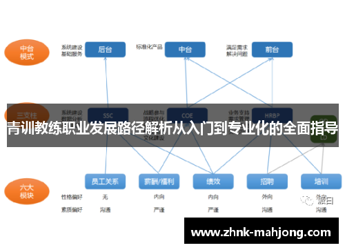 青训教练职业发展路径解析从入门到专业化的全面指导