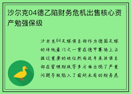 沙尔克04德乙陷财务危机出售核心资产勉强保级 沙尔克04德乙陷财务危机出售核心资产勉强保级
